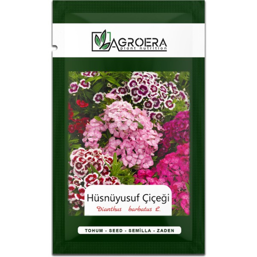 Agroera Hüsnü Yusuf Çiçeği Tohumu 100 Adet - 1 Adet Tohum Fiyatı