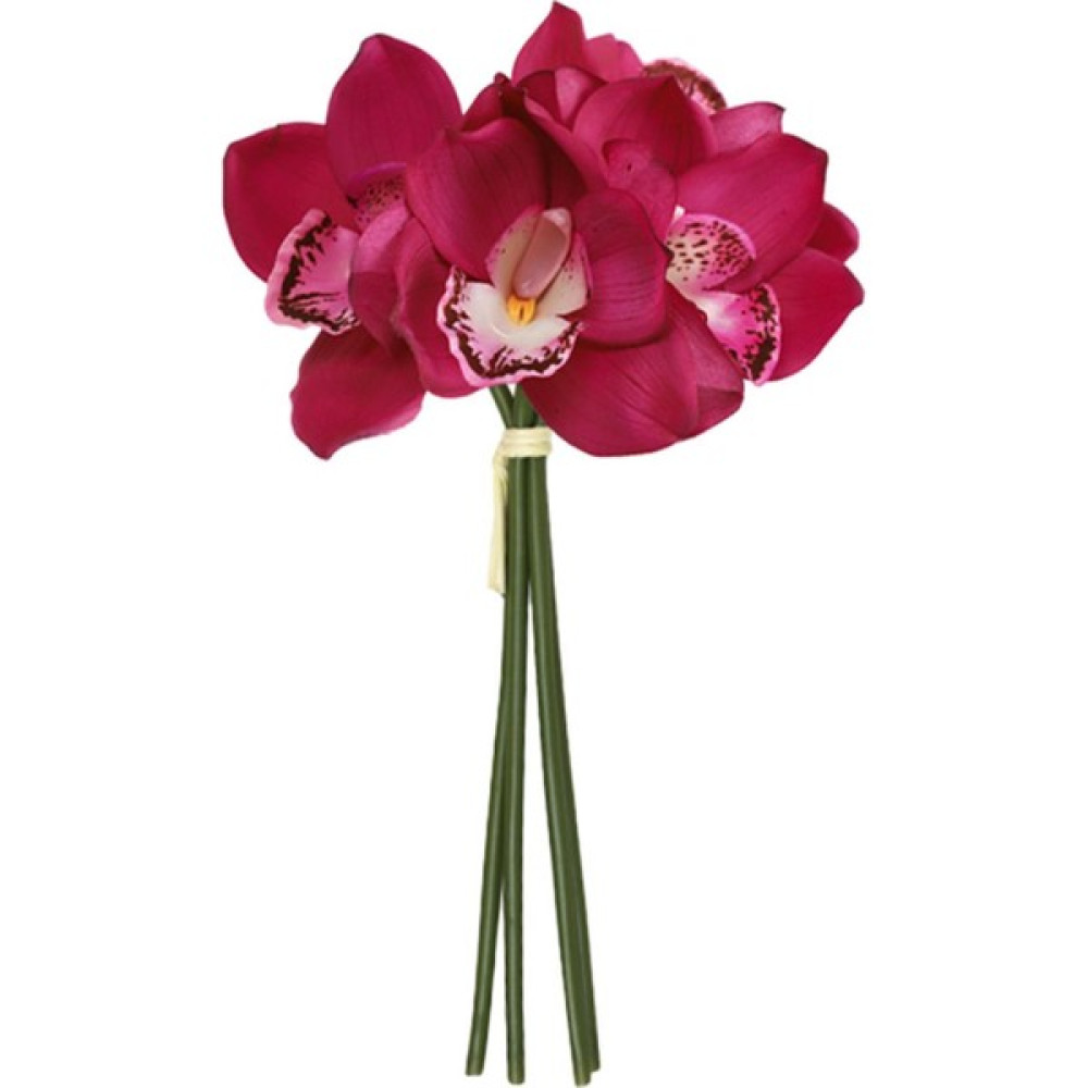 Ahlsen Cymbidium Hediyesi Nemlendirici Doğum Günü Için Gerçekçi (Yurt Dışından) - ------ - Mor Oto Boyaları Fiyatı