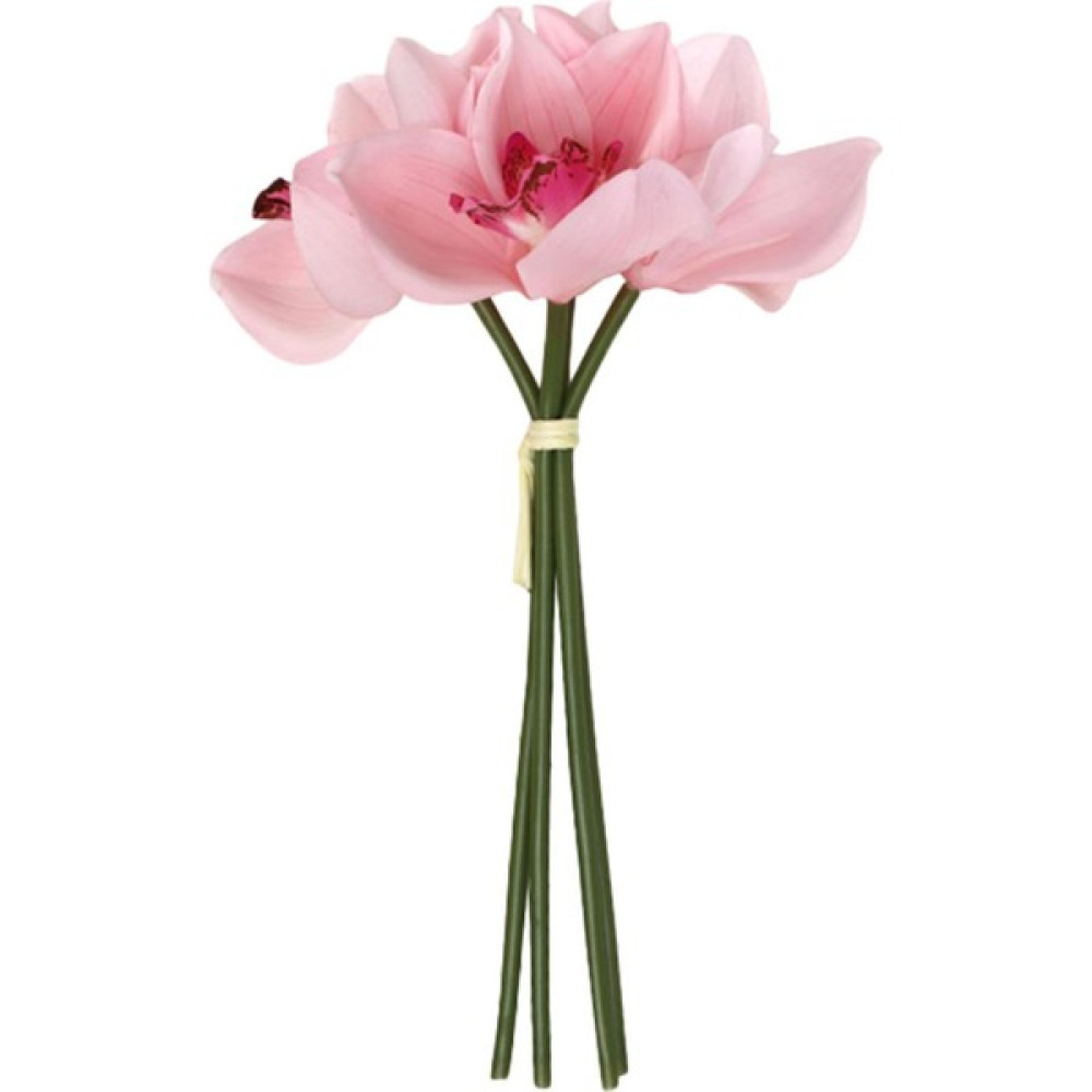 Ahlsen Doğum Günü Açık Için Cymbidium Hediye Nemlendirici Gerçekçi (Yurt Dışından) - ------ - Açık Pembe Oto Boyaları Fiyatı