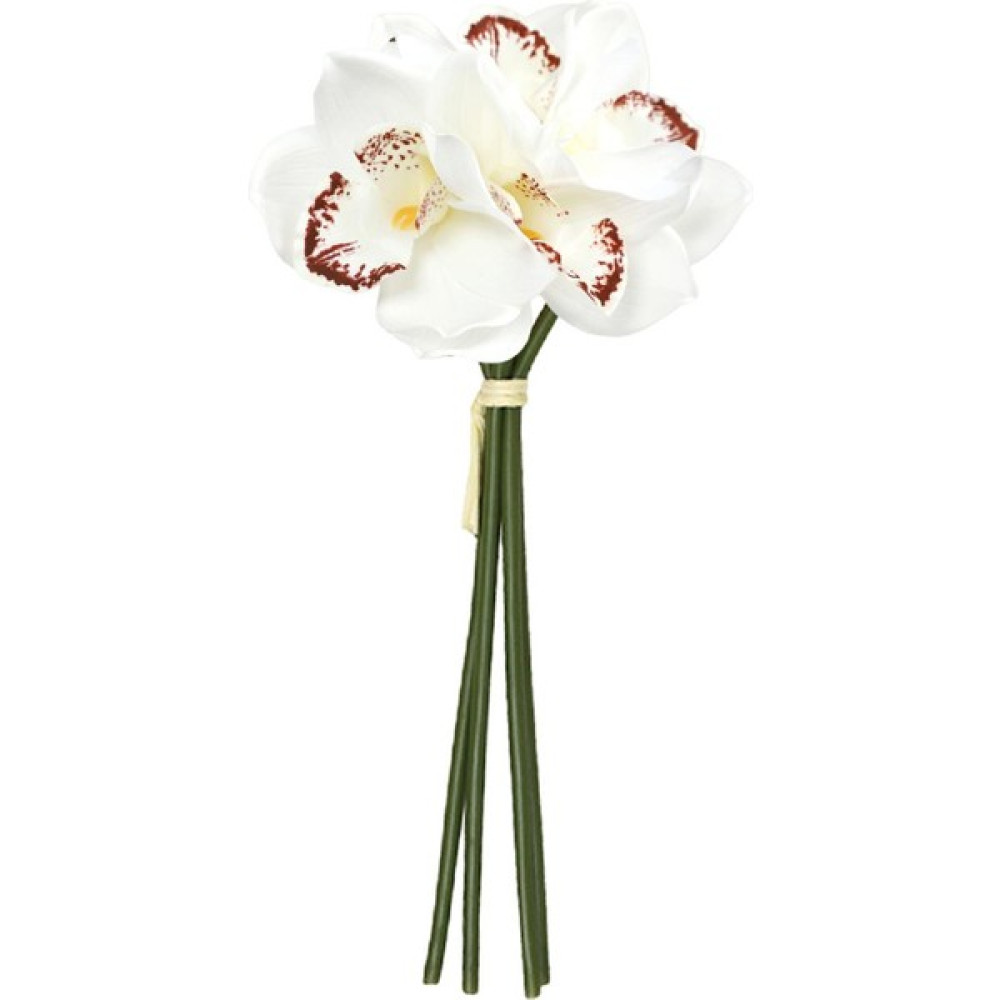 Ahlsen Tatilci I Için Nemlendirici Gerçekçi Hediye Cymbidium (Yurt Dışından) - ------ - Beyaz Oto Boyaları Fiyatı