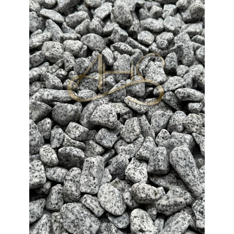 AHS Doğal Granit Gri Çakıl Taşı 10 kg 1-3 cm Dekoratif Bahçe Peyzaj Saksı Teraryum Taşı Saksı ve Aksesuarları Fiyatı