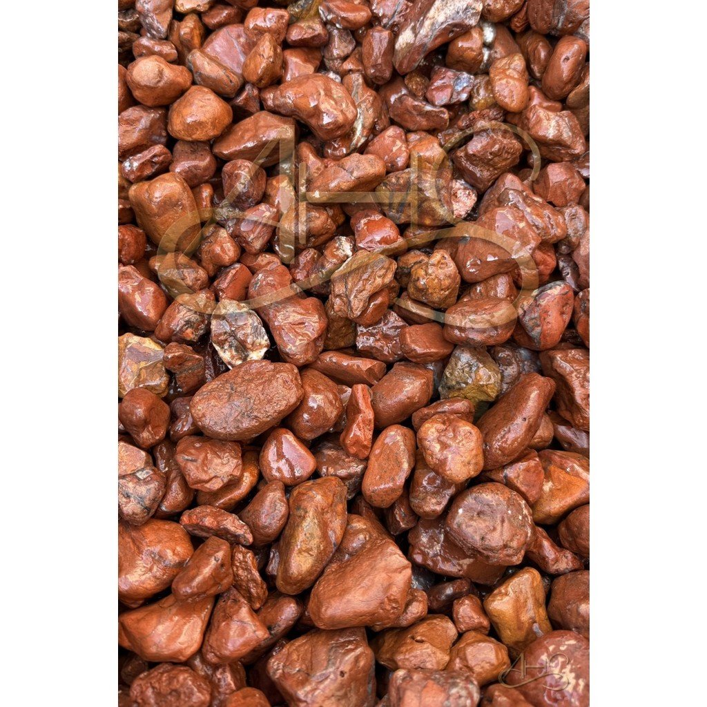 Ahs Kırmızı Bordo Dolomit Çakıl Taşı 4-6 cm 1 kg Dekoratif Bahçe Peyzaj Saksı Akvaryum Teraryum - ST Evcil Hayvan Ürünleri Fiyatı