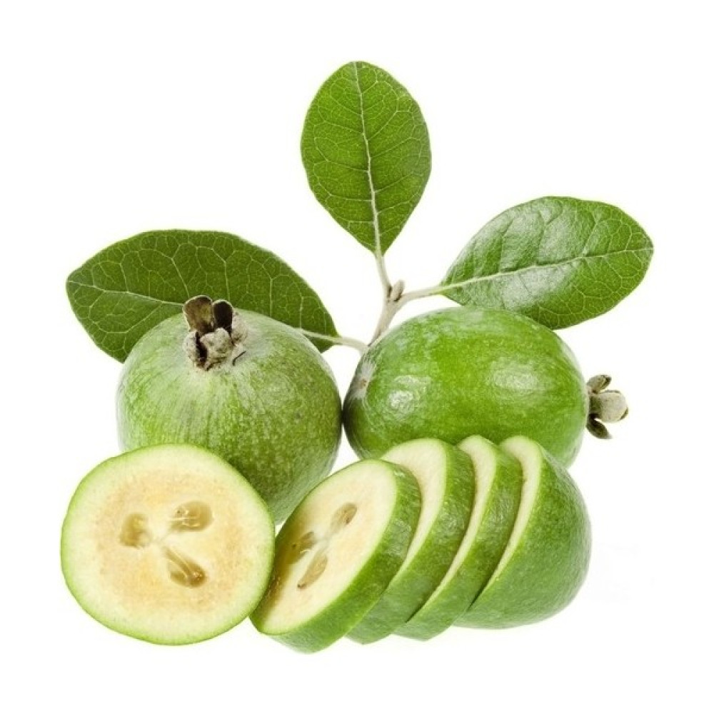 Akcaalan Tüplü (Kaymak Ağacı) Feijoa Fidanı Oto Boyaları Fiyatı