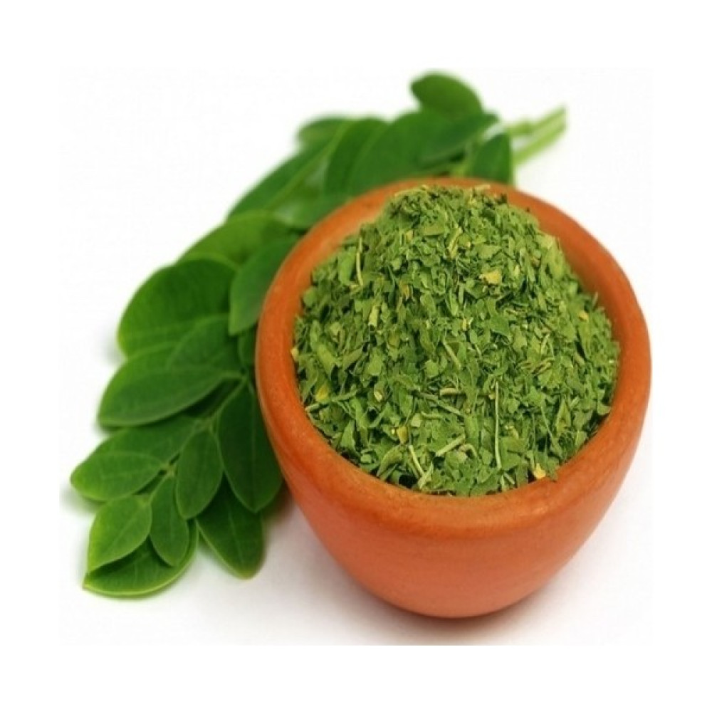 Akcaalan Tüplü Mucize Moringa Ağacı Fidanı (150-200CM) Fidan Fiyatı