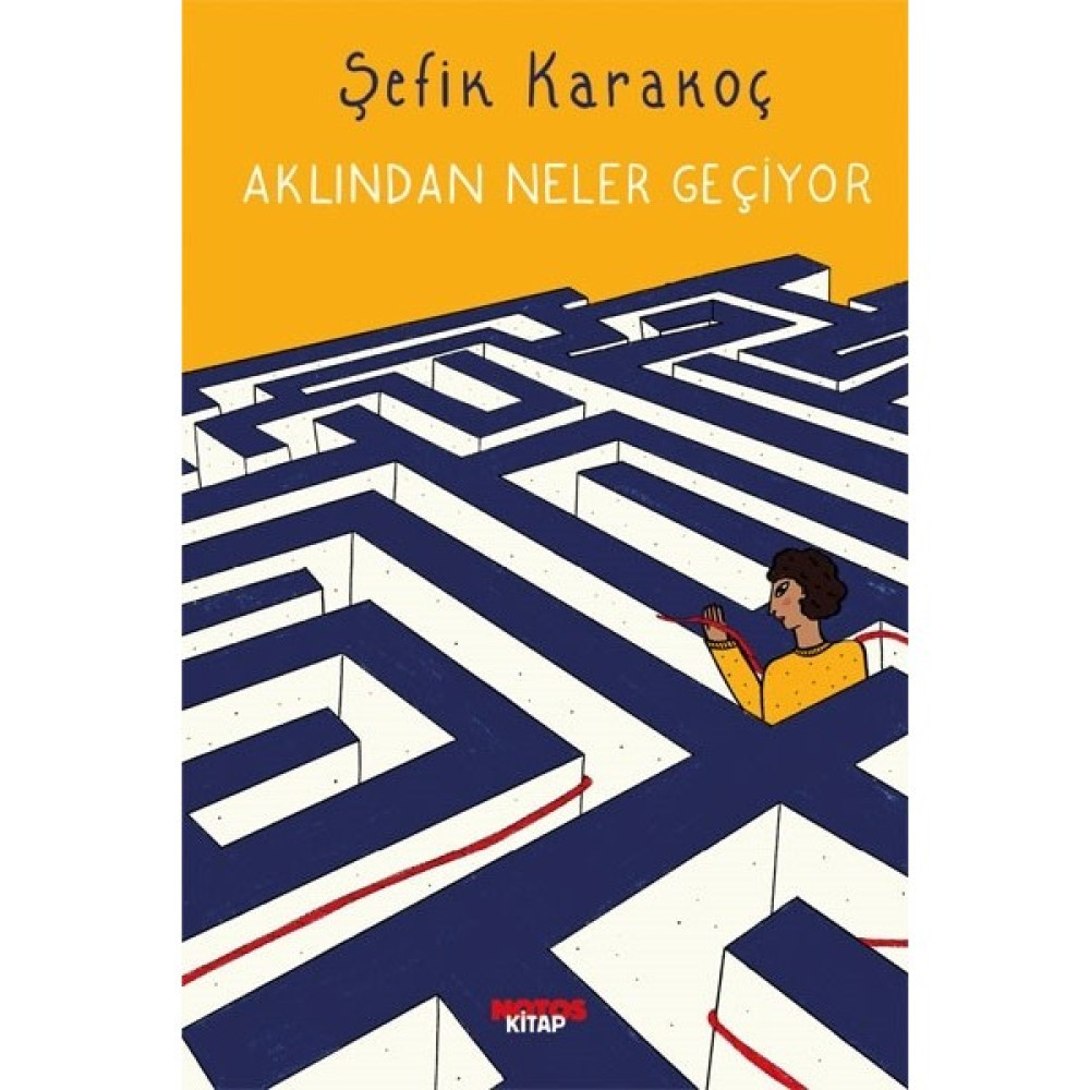 Aklından Neler Geçiyor - Şefik Karakoç Çocuk Öykü Fiyatı