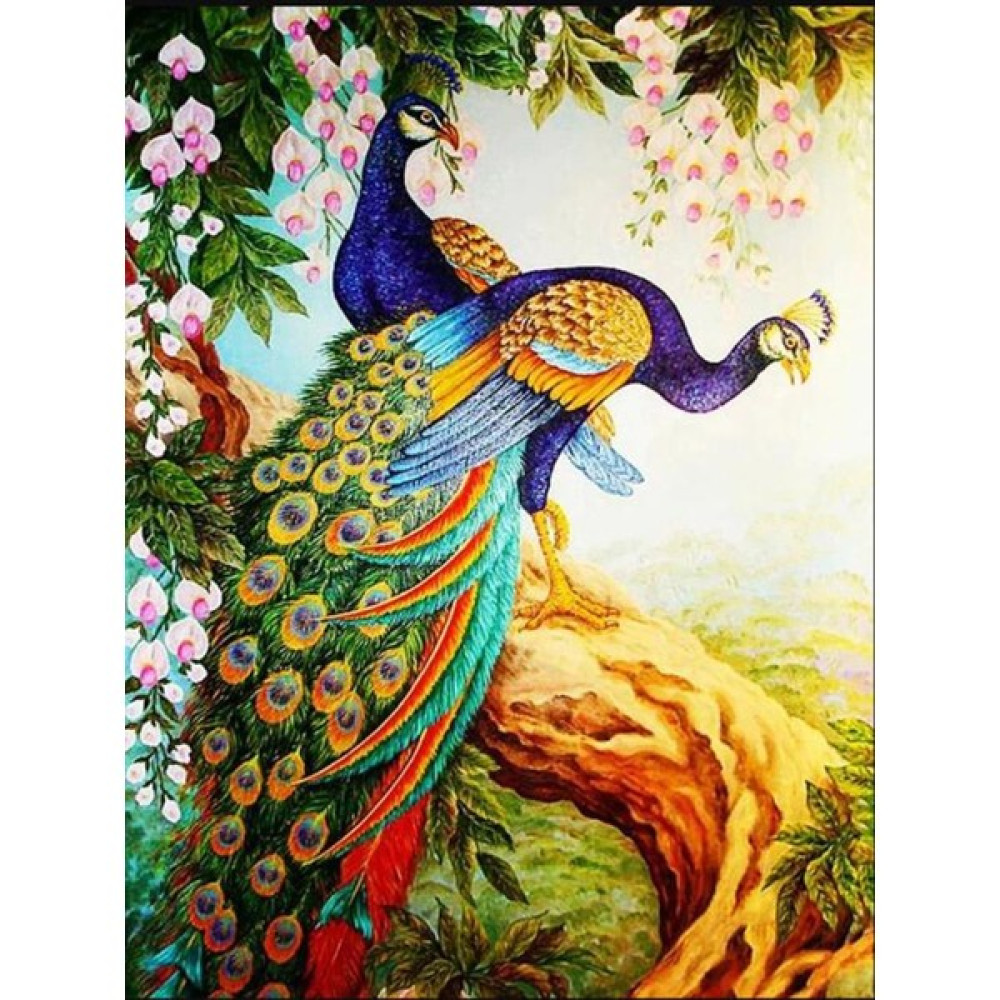 Akmer Sayılarla Elmas Boyama Hobi Seti - Tavuskuşu 30X40 cm Sanatsal Malzemeler Fiyatı