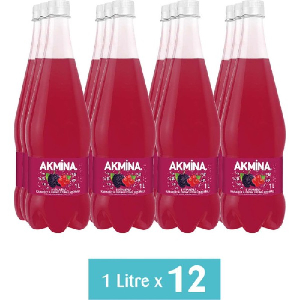 Akmina B Vitaminli Karadut & Frenk Üzümü Aromalı Maden Suyu 12 x 1 Lt Diğer Fiyatı
