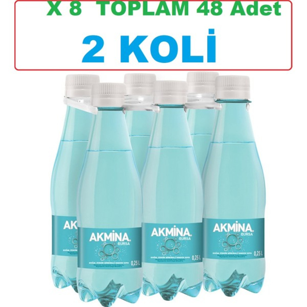 Akmina Maden Suyu Pet Şişe 48X250 ml - 2 Koli Diğer Fiyatı