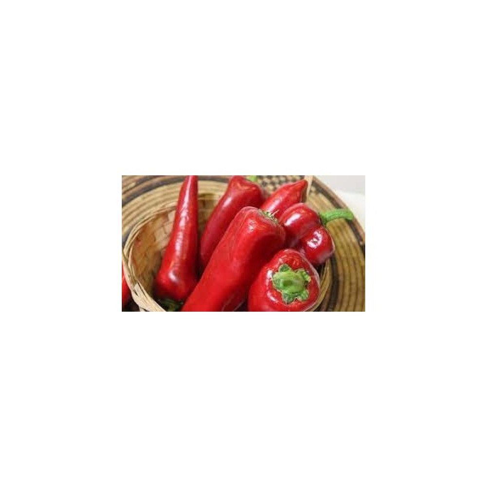 Akran Tarım Akrantarım Kapya Biber (Kapia Pepper) 25+ Adet Tohum - 25 Adet Tohum Fiyatı
