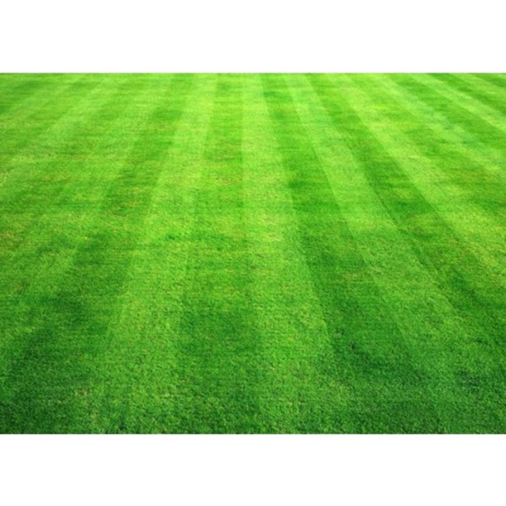 Akran Tarım Akrantarım Shade Mix 5 Li Karışım Çim Tohumu 5 kg Oto Boyaları Fiyatı