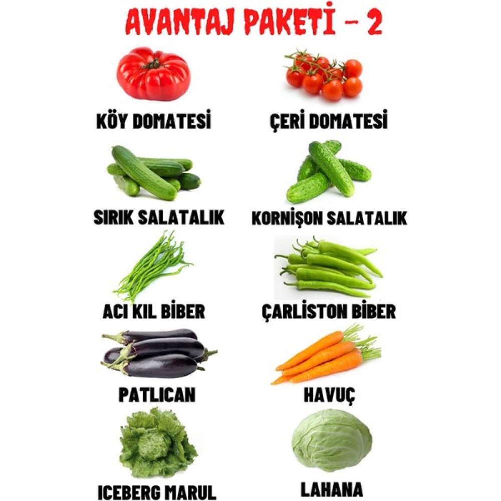 Aktar Dünyası Oplam 10 Çeşit +500 Adet Tohum Köy Domatesi, Çeri Domatesi,Iceberg Marul, Lahana Olmak Üzere 10 Çeşit Tohum. - 10 Adet Tohum Fiyatı
