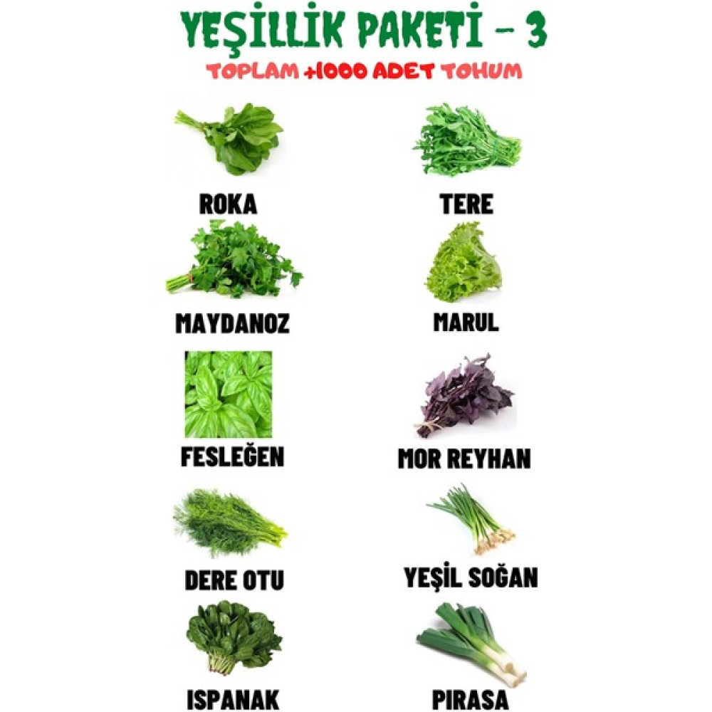 Aktar Dünyası Toplam 10 Çeşit Ve +1000 Adet Muhteşem Yeşillik Tohum Paketi + Tohum - 10 Adet Tohum Fiyatı