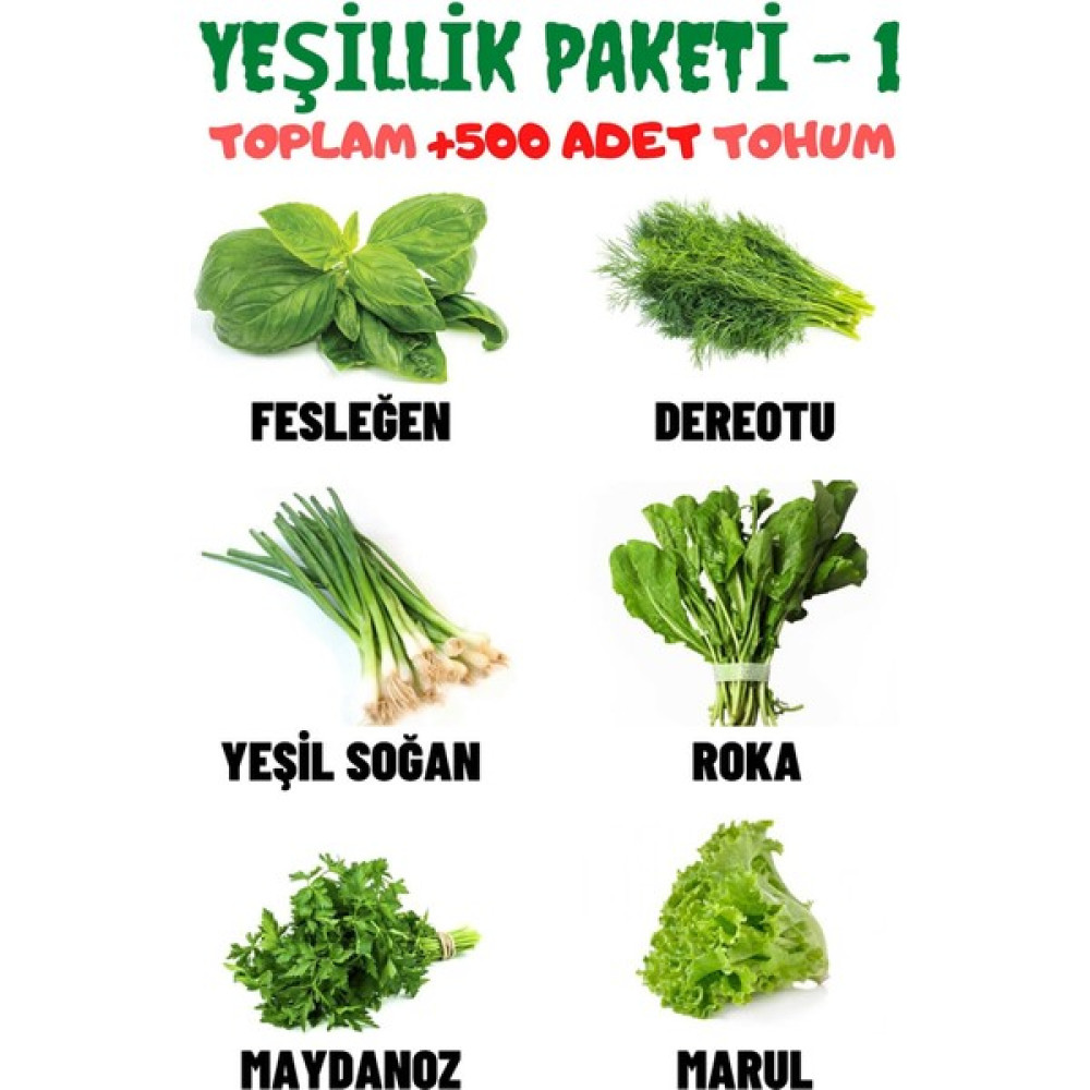 Aktar Dünyası Yeşillik Paketi-1 Fesleğen, Dereotu, Soğan, Roka, Maydanoz, Marul Tohum Seti, Toplam +500 Adet Tohum - 6 Adet Tohum Fiyatı