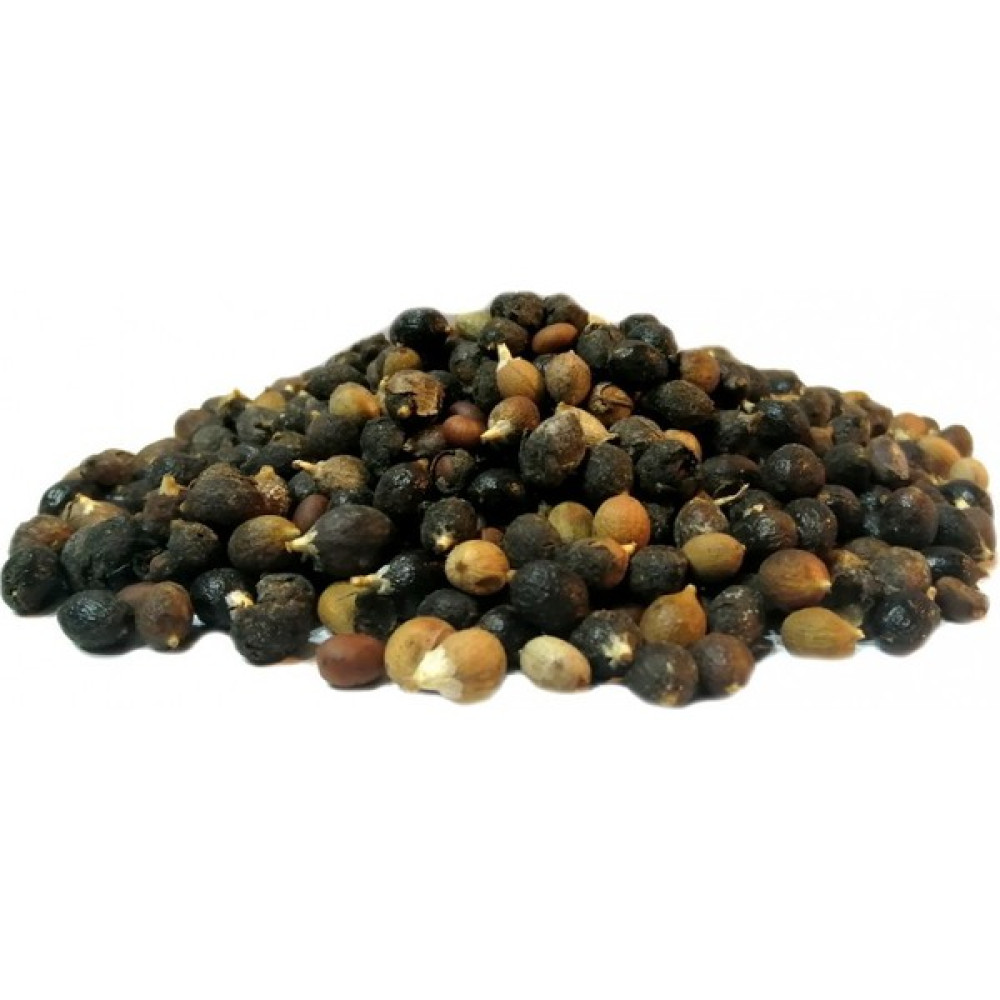 AKTARZANE Cüce Palmiye Tohumu - 100 gr Tohum Fiyatı