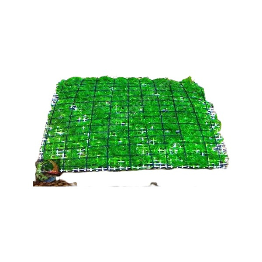 Akvaryum Bitkileri Atakan Petshop Weeping Moss Tele Sarılı 5X5cm Yeni Sarım Canlı Bitki Evcil Hayvan Ürünleri Fiyatı