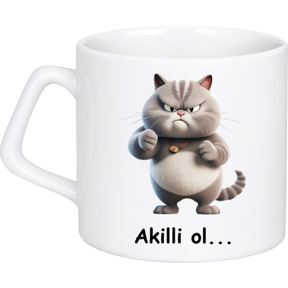 Aldesid Akilli Ol, Alurum Akluni Baskılı Kupa Bardak, Beyaz Porselen Kupa - 225 ml Fincan / Bardak / Kahve Takımı Fiyatı