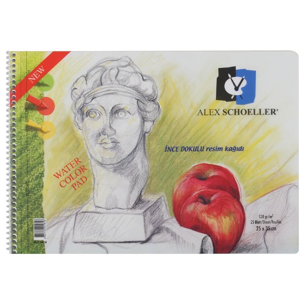Alex Schoeller Pp Kapak Resim ve Eskiz Çizim Defteri 120 gr 25 x 35 cm 25 Yp. Defter & Kağıt Ürünleri Fiyatı