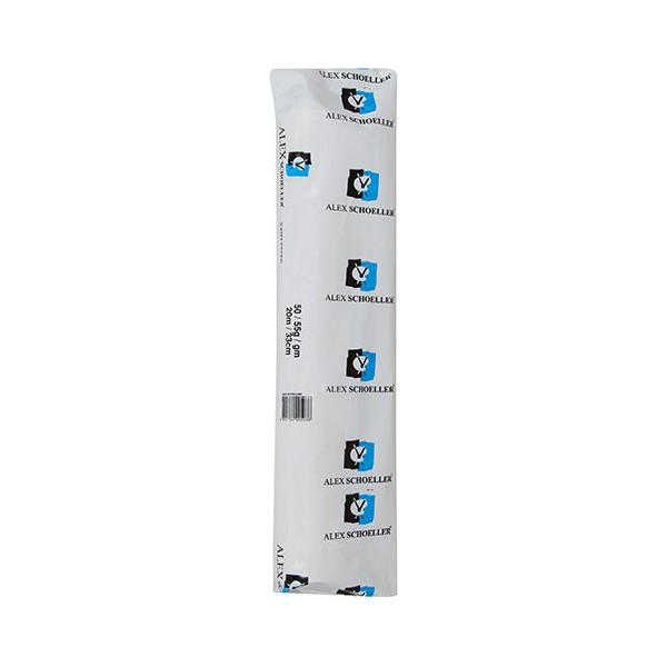 Alex Schoeller Rulo Eskiz Kağıdı 50/55 Gr 33 Cm X 20 M SSD / Solid State Drive Fiyatı
