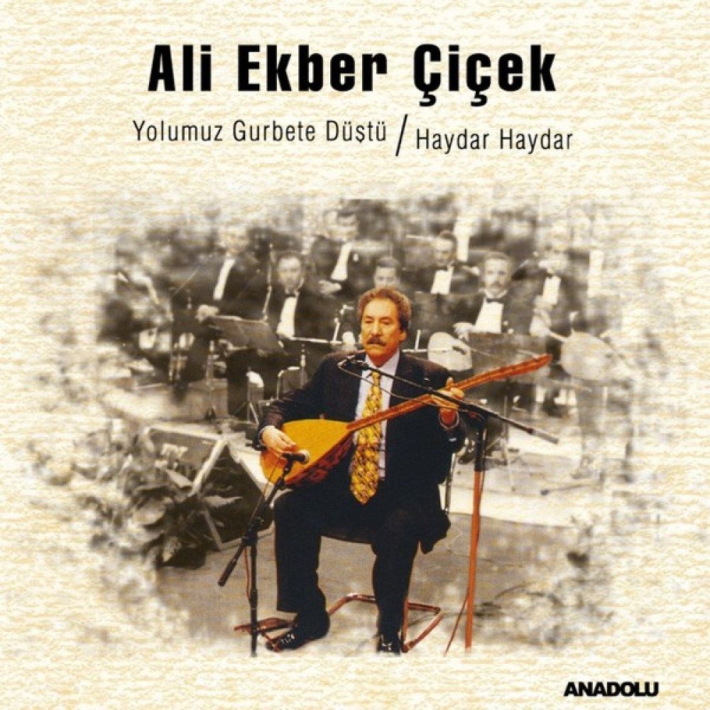 Ali Ekber Çiçek - Yolumuz Gurbete Düştü / Haydar Haydar (Plak) Pikap & Aksesuarları Fiyatı