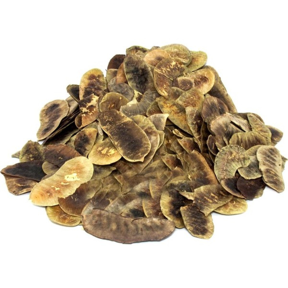 Ali Ünyazıcı Açlık Otu 100 gr Oto Boyaları Fiyatı