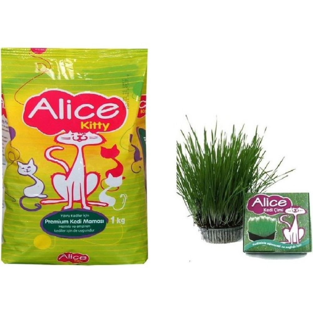 Alice Kitty Yavru Hamile ve Emziren Kedi Maması 1 Kg+ Alice Çim Evcil Hayvan Ürünleri Fiyatı