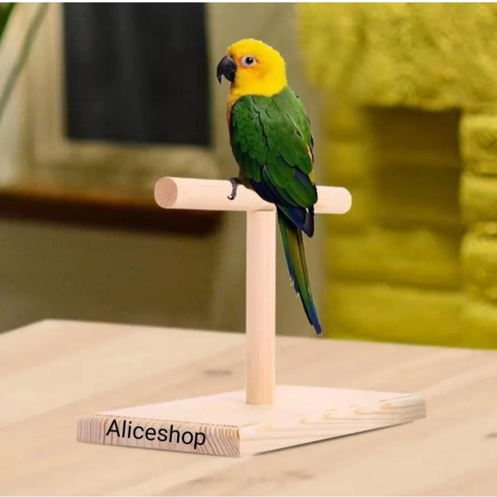 Alice Shop Doğal Ahşap Kuş Eğitim Tünegi Diğer Fiyatı
