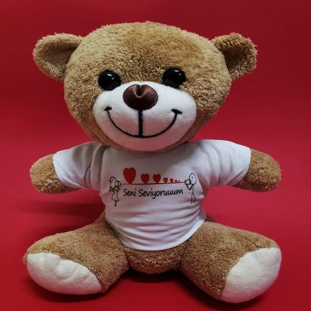 Alifa Toptan Seni Seviyorum Temalı Peluş Ayıcık Oto Boyaları Fiyatı
