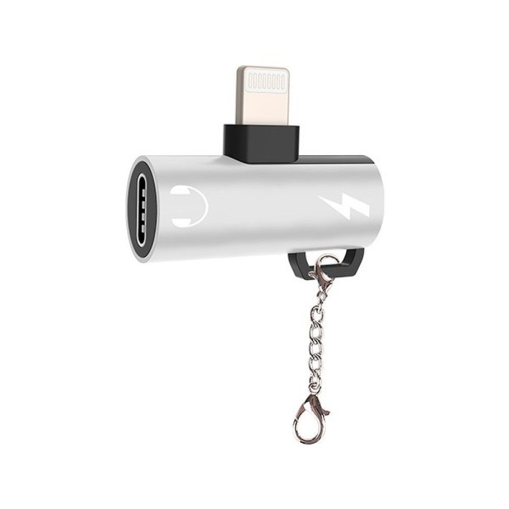Ally iPhone Uyumlu Dual Lightning Girişli Şarj Dönüştürücü Adaptör Gümüş Oto Boyaları Fiyatı