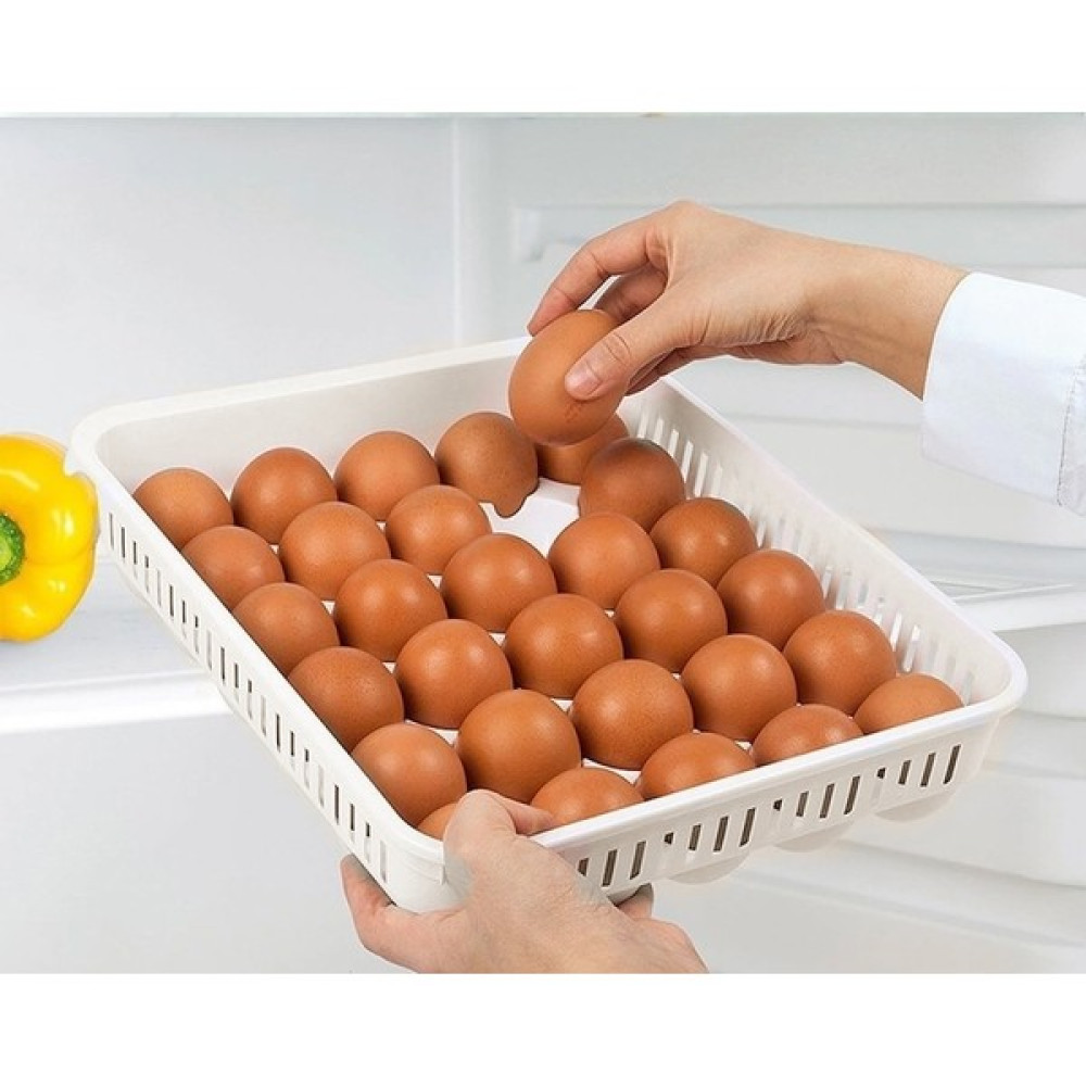 Almital 2 Adet Yumurta Saklama Kabı 30'lu , Steril Yumurtalık, Kapaklı Yumurta Organizeri Saklama Kapları Fiyatı
