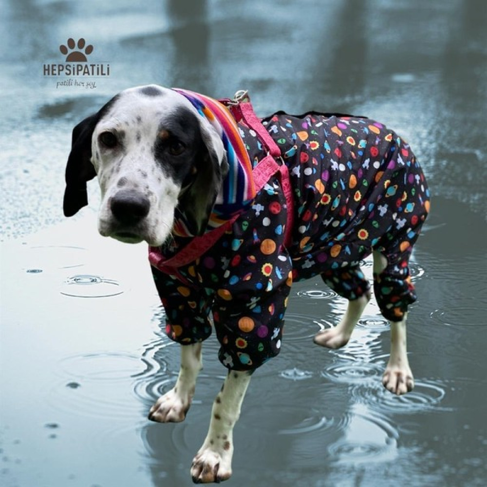 Alphadog Space İnce Orta-Büyük Irk Köpek Yağmurluk Tulum - 3XL Evcil Hayvan Ürünleri Fiyatı