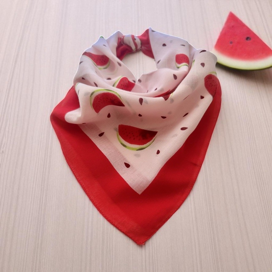 ALS Tasarım Dünyası Beyaz Renk Zemin Üzerine Karpuz Desenli %100 Koton Bandana, Saç Bandı Bandana (Outdoor) Fiyatı