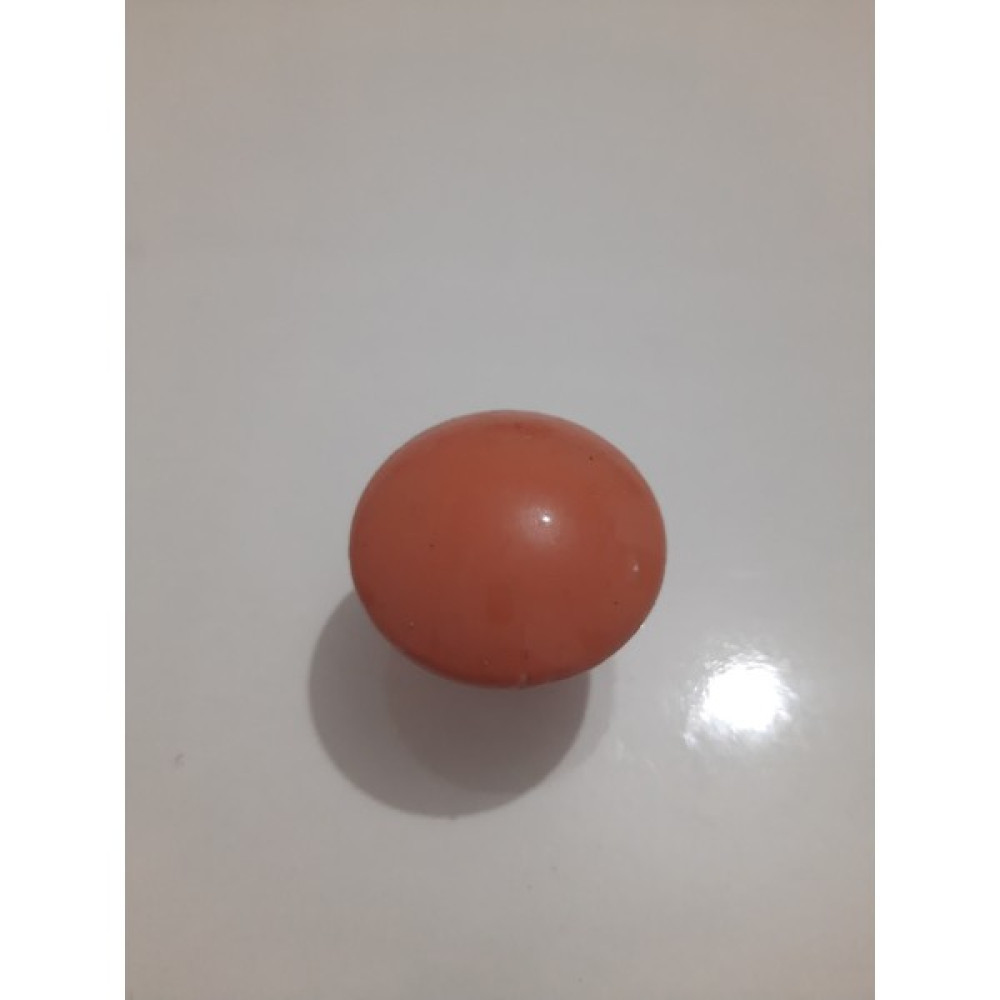 Altuntaş Ticaret Altuntaş Parlak Kahverengi Tekli Plastik Kulp (10 Adet) S002 Oto Boyaları Fiyatı