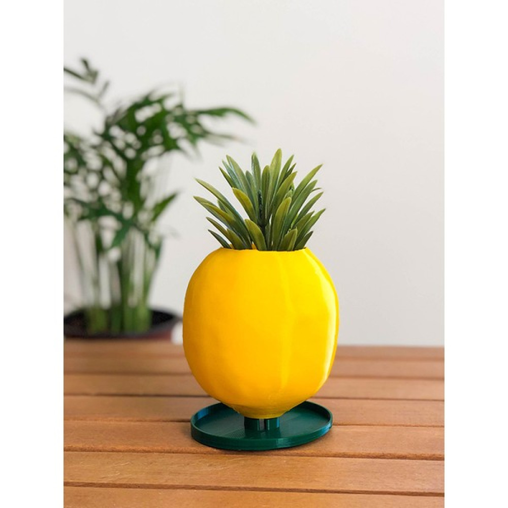 Alvina Atölye Limon Sukulent Saksısı - 8cm - Bioplastik Saksı ve Aksesuarları Fiyatı