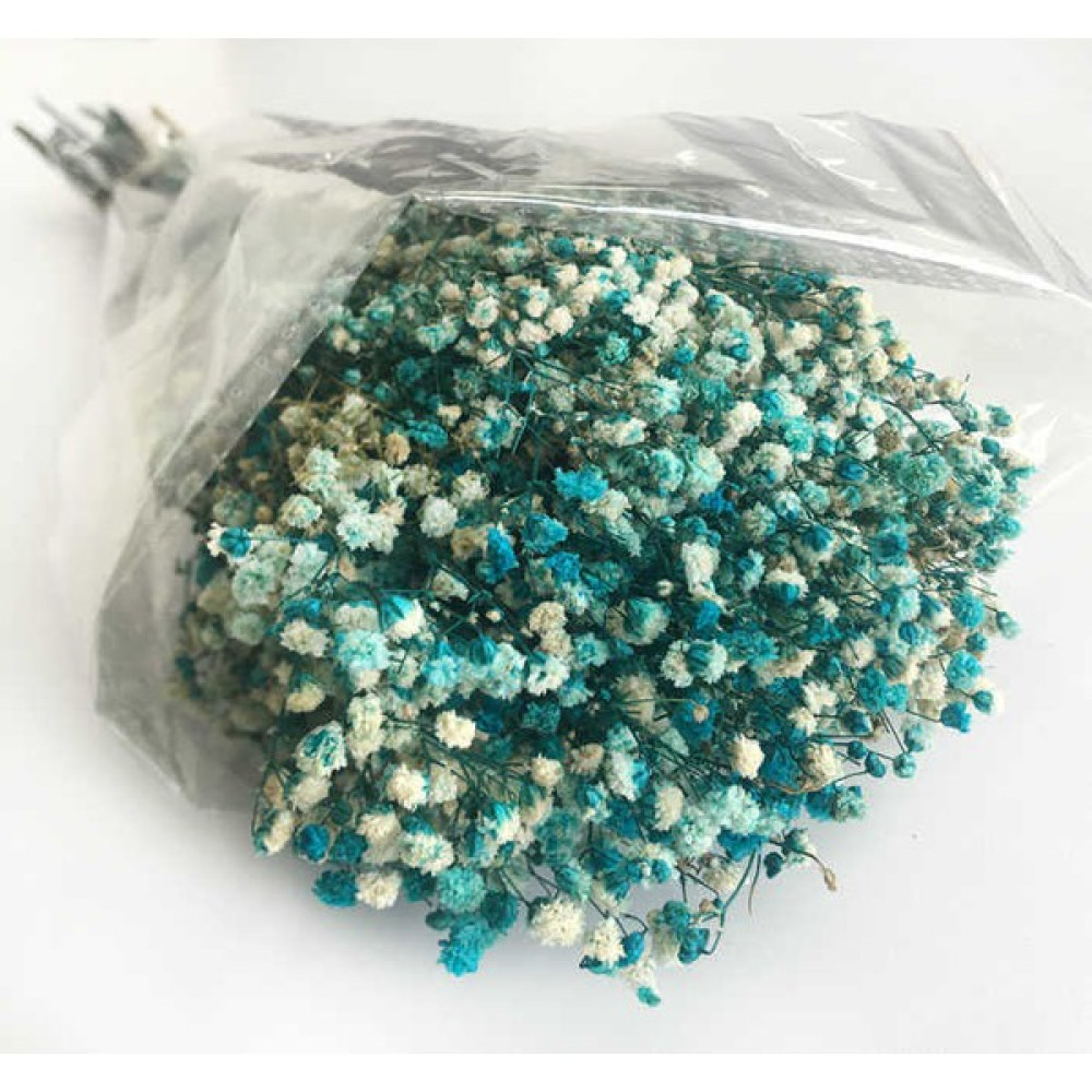 Alya Süs Çiçek Doğal Cipso 50 gr Mavi 1 Paket Ev & Dekorasyon Aksesuarları Fiyatı