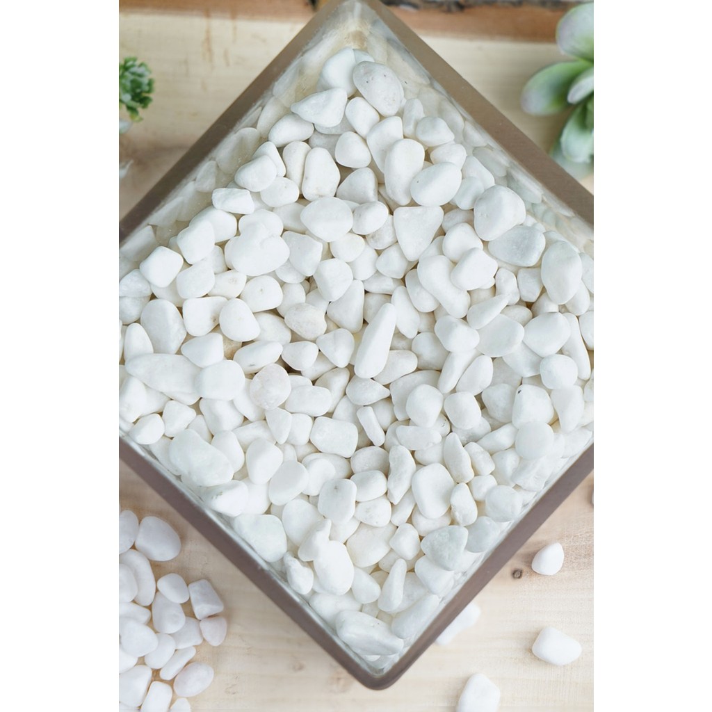 Alyones 1 kg Dolomit Taş 1 2 cm Akvaryum Taşı Çakıl Taşı Bahçe Saksı Taşı Dere Taşı - Beyaz Evcil Hayvan Ürünleri Fiyatı
