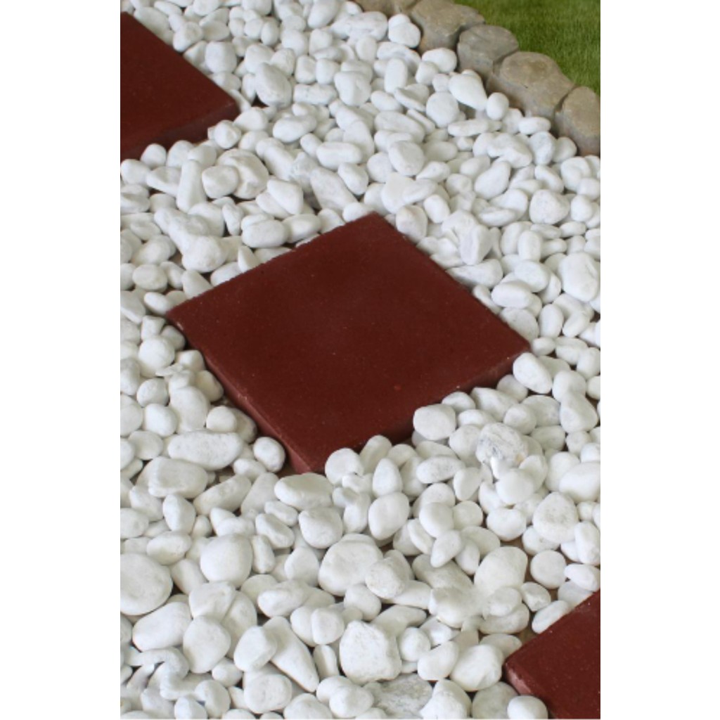 Alyones Dolomit Taş 20 kg 2-4 cm Dere Taşı Çakıl Taşı Bahçe Süs Taşı Dolamit Taş Dekoratif Taş Dekoratif Bahçe Ürünleri Fiyatı