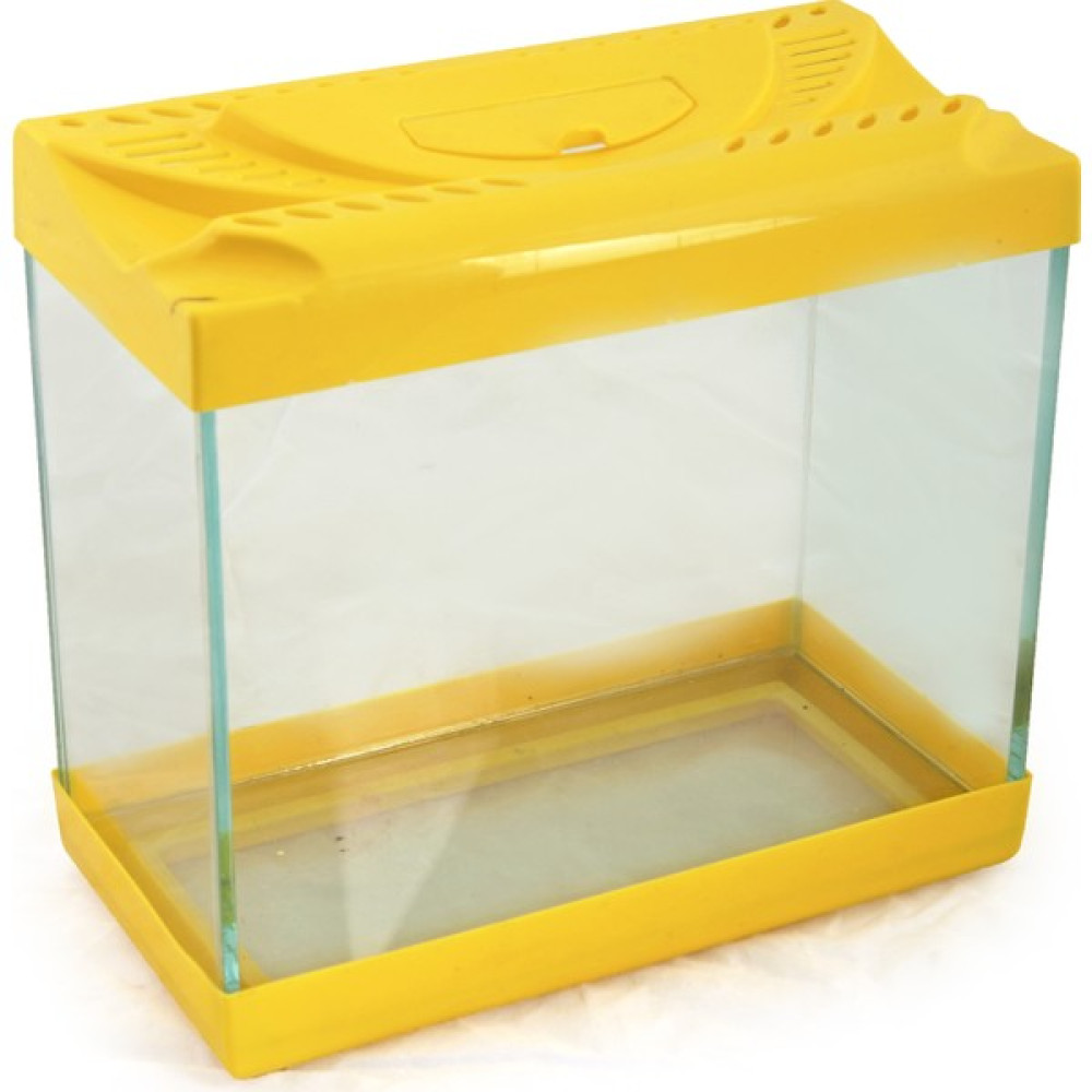Amazon Pet Plastik Kapaklı Cam Akvaryum 12X23X21CM Evcil Hayvan Ürünleri Fiyatı