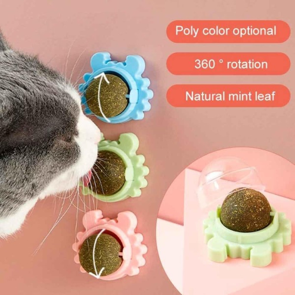 Amazon Pet Yengeç Catnip Kedi Nanesi Topu Evcil Hayvan Ürünleri Fiyatı