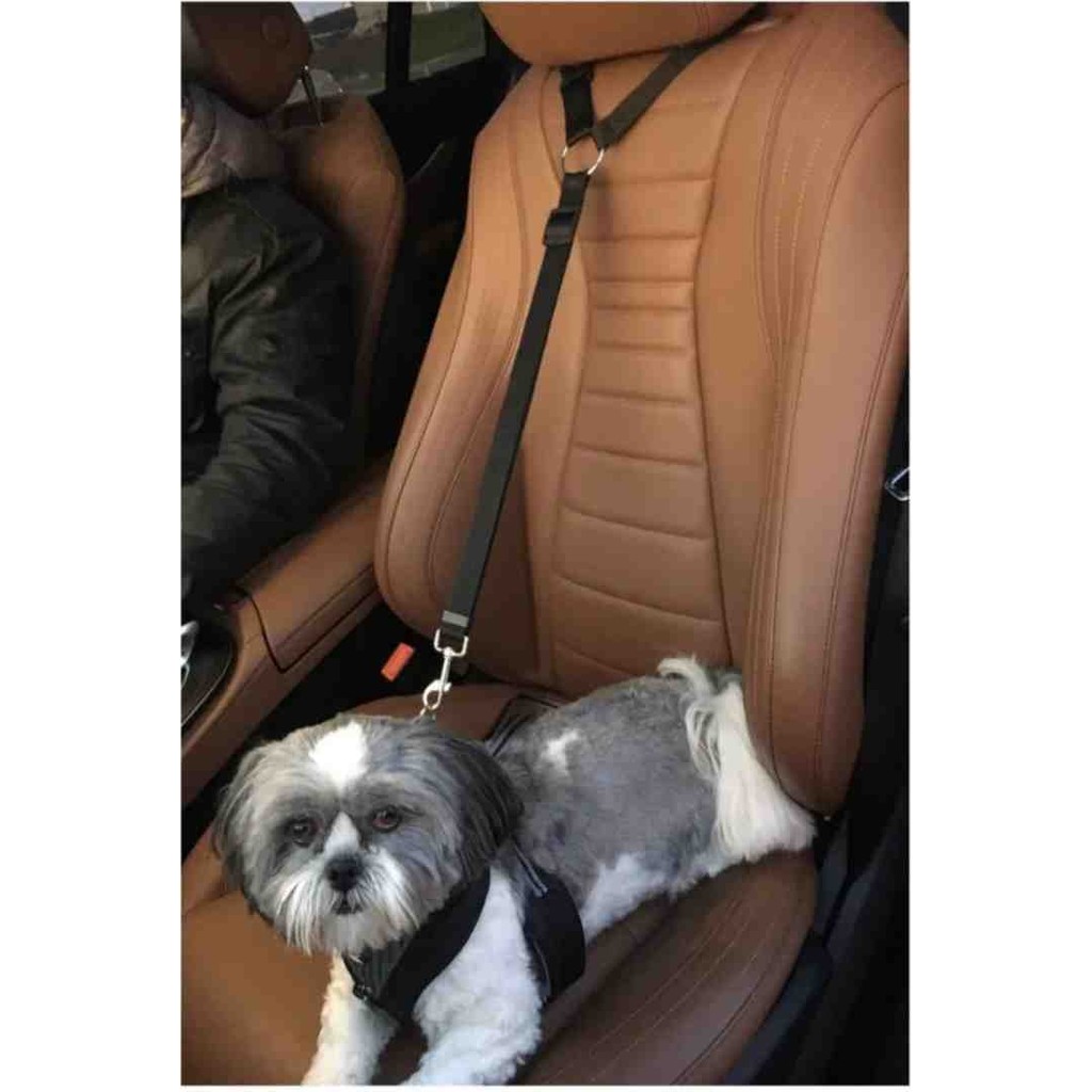 Ankaflex Evcil Hayvan Araç Emniyet Kemeri Kedi Köpek Oto Emniyet Tasması Evcil Hayvan Ürünleri Fiyatı