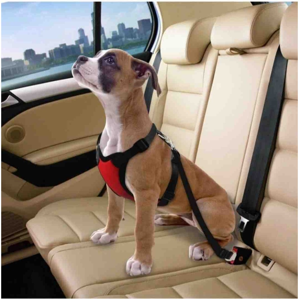 Ankaflex Evcil Hayvan Oto Emniyet Kemerli Tasma Kedi Köpek Seyahat Emniyet Kemeri Evcil Hayvan Ürünleri Fiyatı
