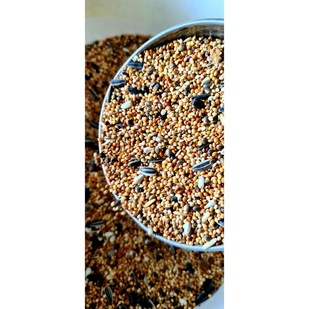Ankara Yem Evi Forpus Papağanı Yemi 1 kg Evcil Hayvan Ürünleri Fiyatı