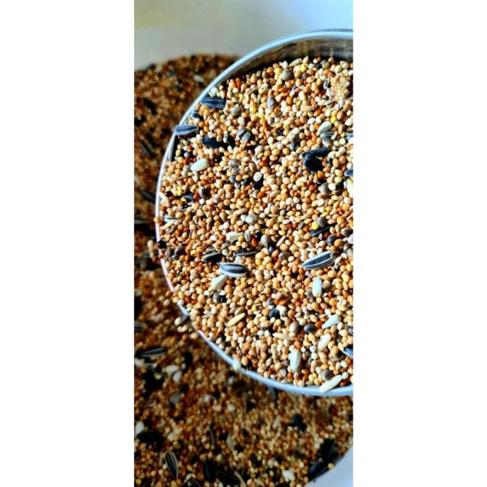 Ankara Yem Evim Forpus Sultan Cennet Sevda Papağanı Yemi 500 gr Evcil Hayvan Ürünleri Fiyatı