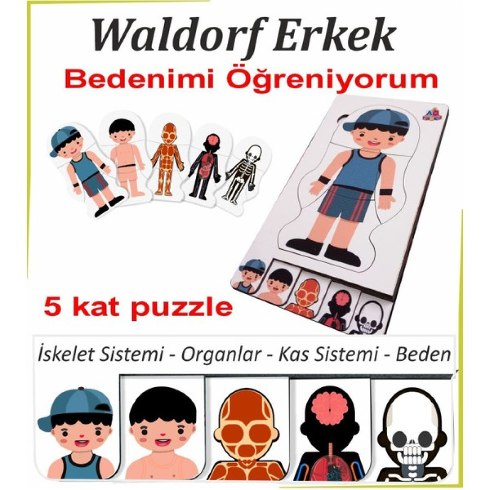 Ankebut Bedenimi Öğreniyorum 5 Kat Beyaz Puzzle Waldorf Oto Boyaları Fiyatı