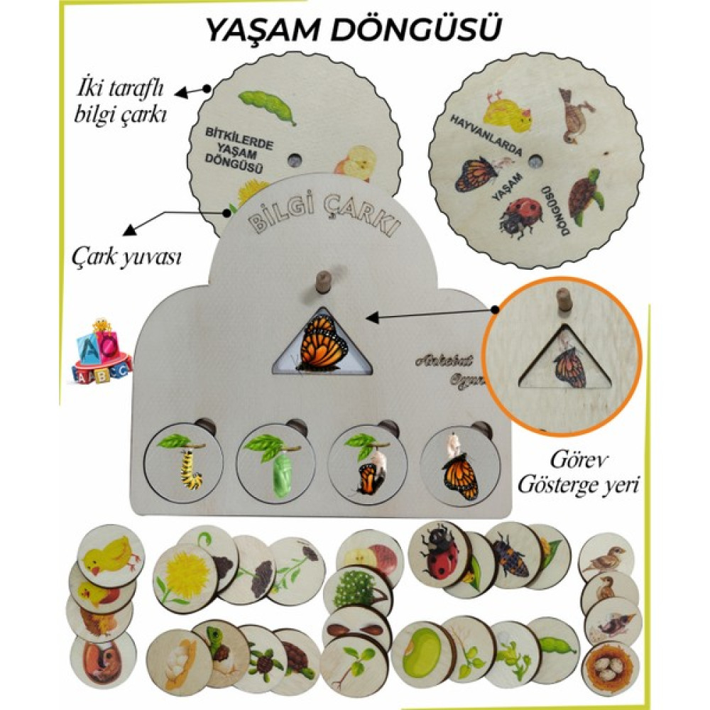 Ankebut Bilgi Çarkı Fen Seti 2 Yaşam Döngüsü Bebek Oyuncakları Fiyatı