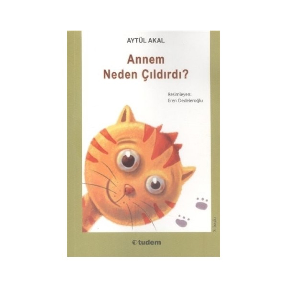 Annem Neden Çıldırdı Öykü Kitapları Fiyatı