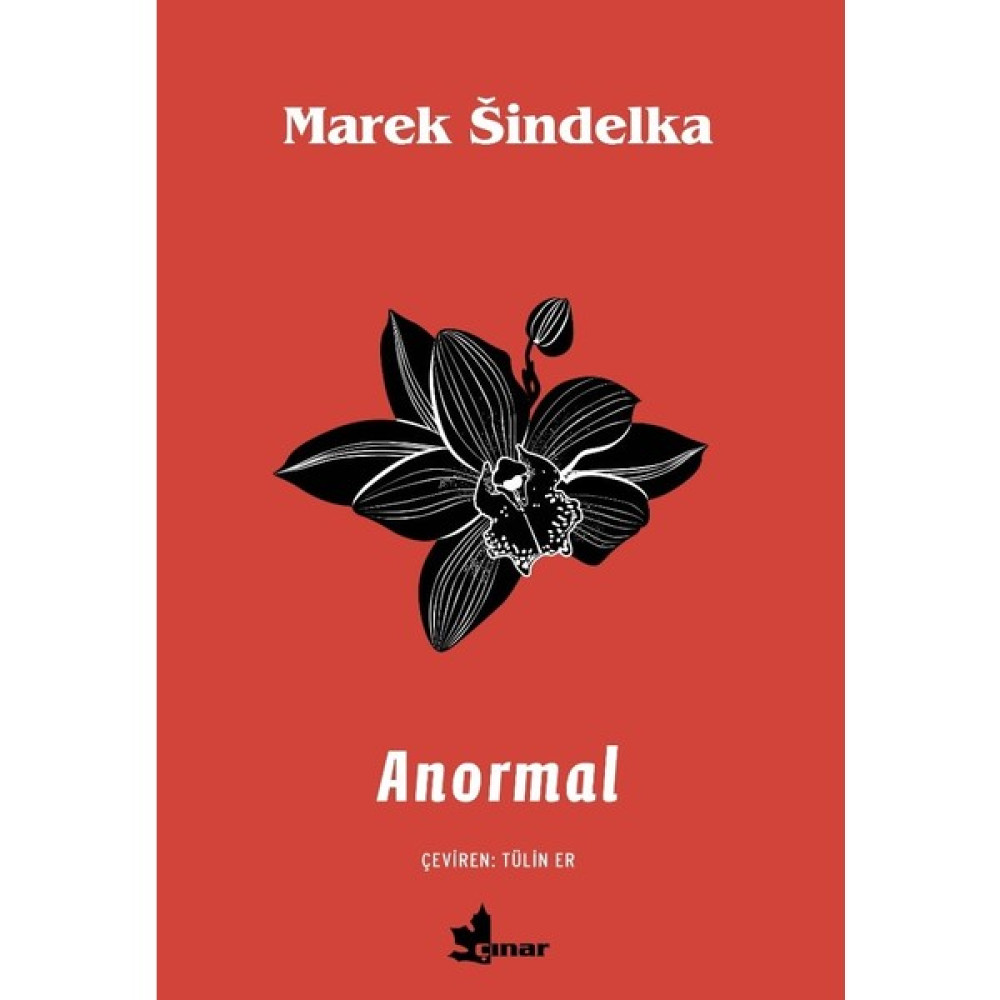 Anormal - Marek Sindelka Dünya Edebiyatı Fiyatı