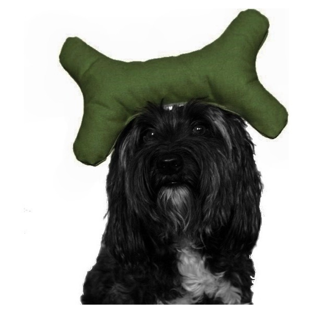 ANS Kemik Şekilli Köpek Oyuncağı 10-24 cm Yeşil Evcil Hayvan Ürünleri Fiyatı