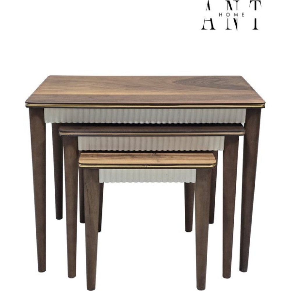 Ant Home Retro 3'lü Ağaç Kaplama Lake Boyalı Zigon Sehpa - Ceviz Zigon Sehpa Fiyatı