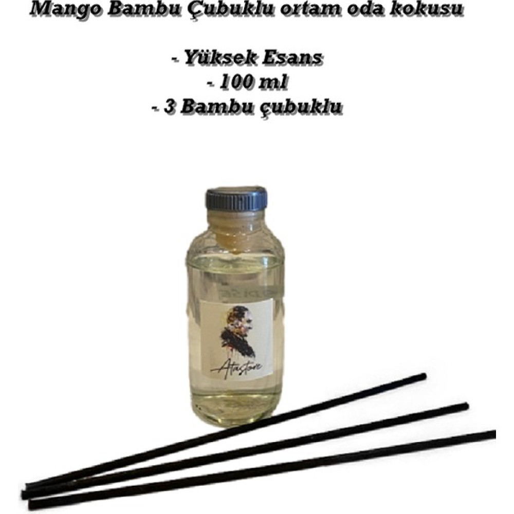 Anta Store Yüksek Esans 100 ml Bambu Çubuklu Oda Ortam Kokusu Oto Boyaları Fiyatı