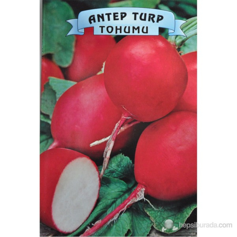 Antep Turp Oto Boyaları Fiyatı
